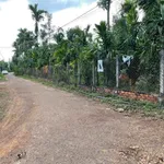 Bán lô đất 140m² xã Ea Ning Đắk Lắk giá 175 triệu - Ảnh thu nhỏ 3