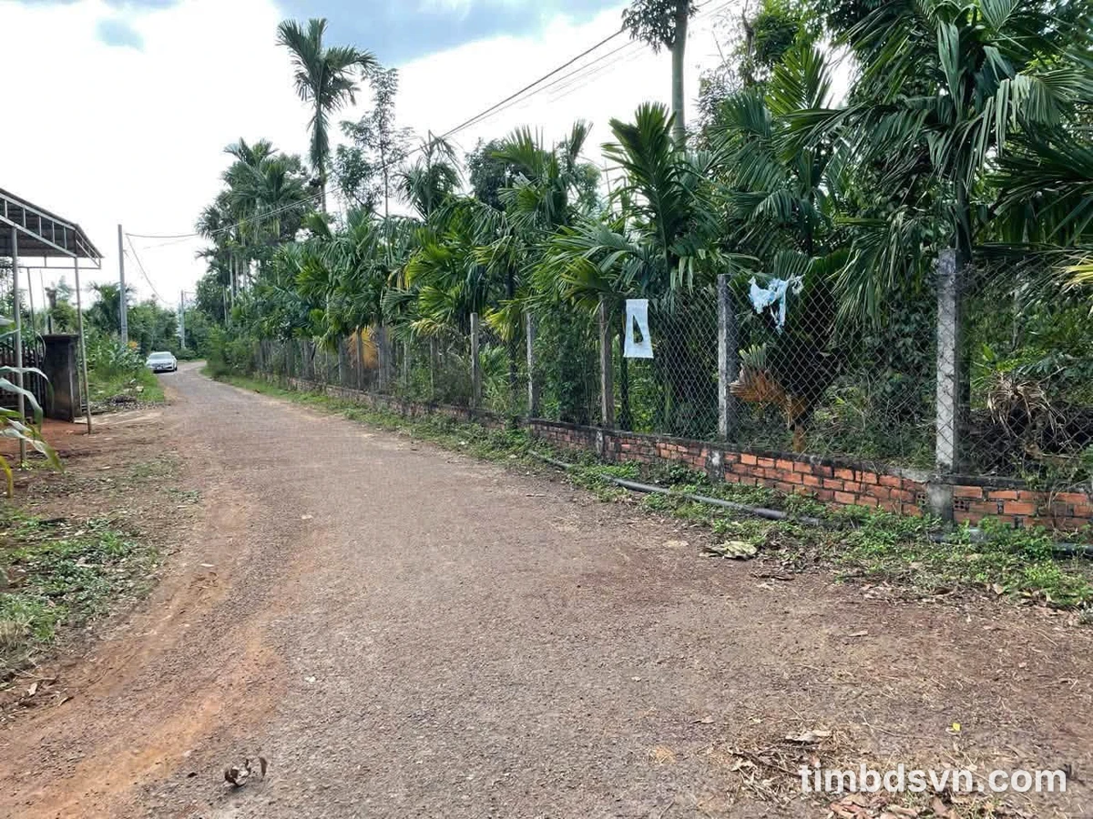 Bán lô đất 140m² xã Ea Ning Đắk Lắk giá 175 triệu - Ảnh thu nhỏ 3