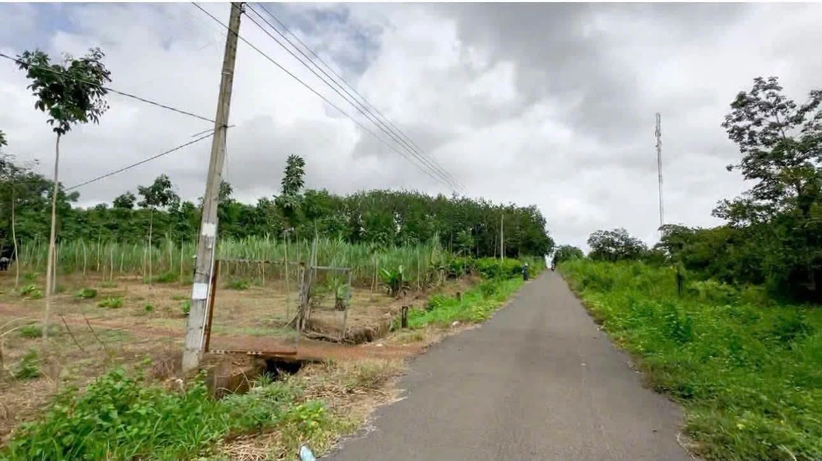 Bán đất nguyên mãnh 4800 m² xã Hưng Phước - Ảnh thu nhỏ 2