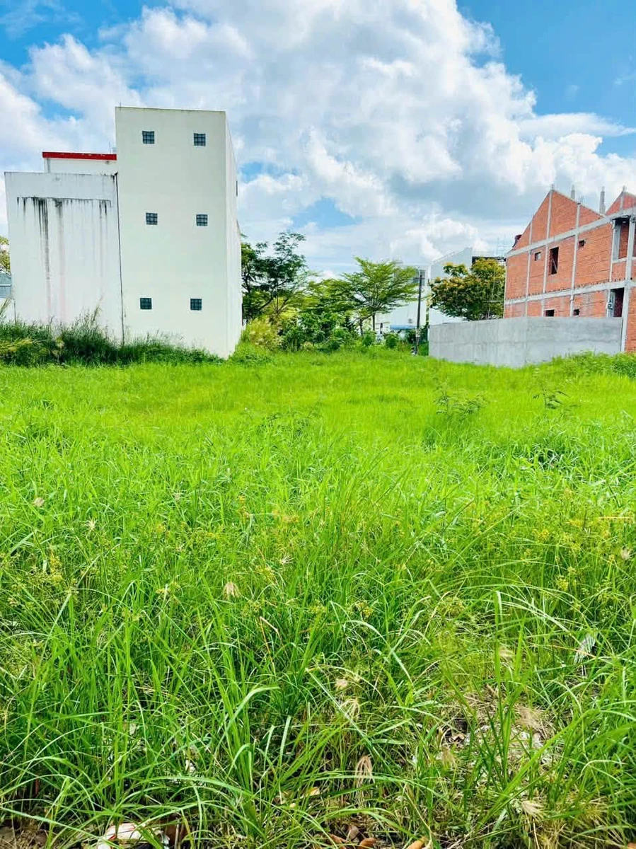 Bán nền 153m² Châu Văn Liêm Cà Mau 2.9 tỷ - Ảnh thu nhỏ 5