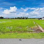 Bán lô đất 5x36m Bình Lãng, Tân Trụ 980 triệu - Ảnh thu nhỏ 1