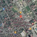 Bán đất dự án Golden City 2 cách đại lộ Lê Nin 20m quy hoạch đẹp, đối diện Lotte Mart Hàn Quốc - Ảnh thu nhỏ 7
