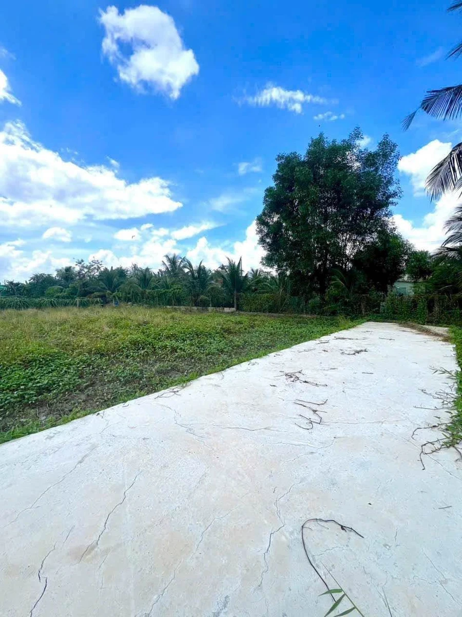 Bán 267m² đất lúa chuyển thổ cư gần chợ Cầu vuông - Ảnh thu nhỏ 2