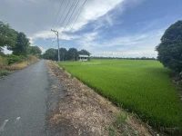 Bán đất full thổ cư P Mỹ Thới Long Xuyên An Giang. - Ảnh thu nhỏ 4