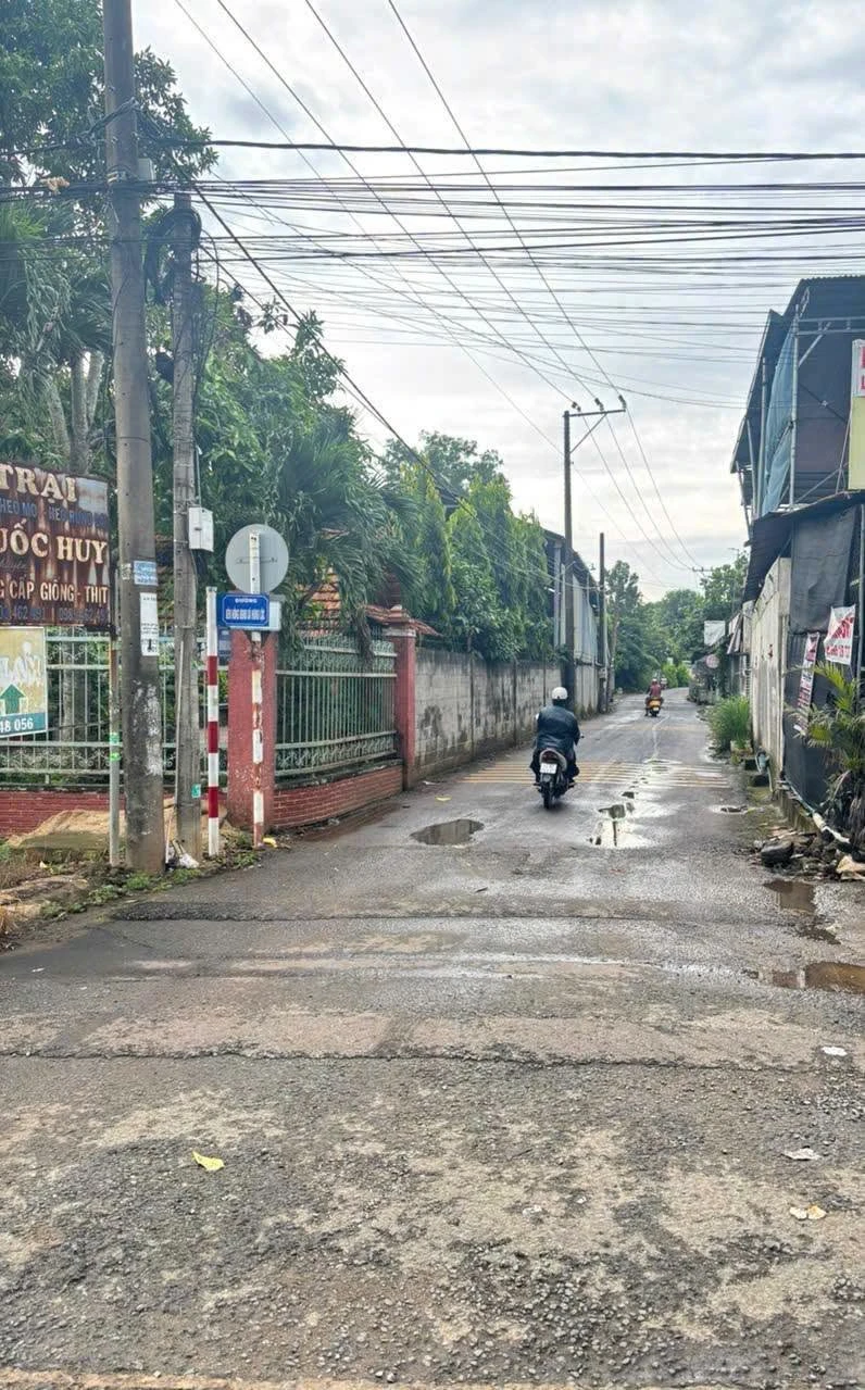 Bán vườn trái cây và trại heo 8.060m² Trảng Bom 4 tỷ 900 - Ảnh 1