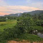 Bán đất 1979,2m2 giá 1,95 tỷ tại thị trấn Thanh Sơn - Ảnh thu nhỏ 3