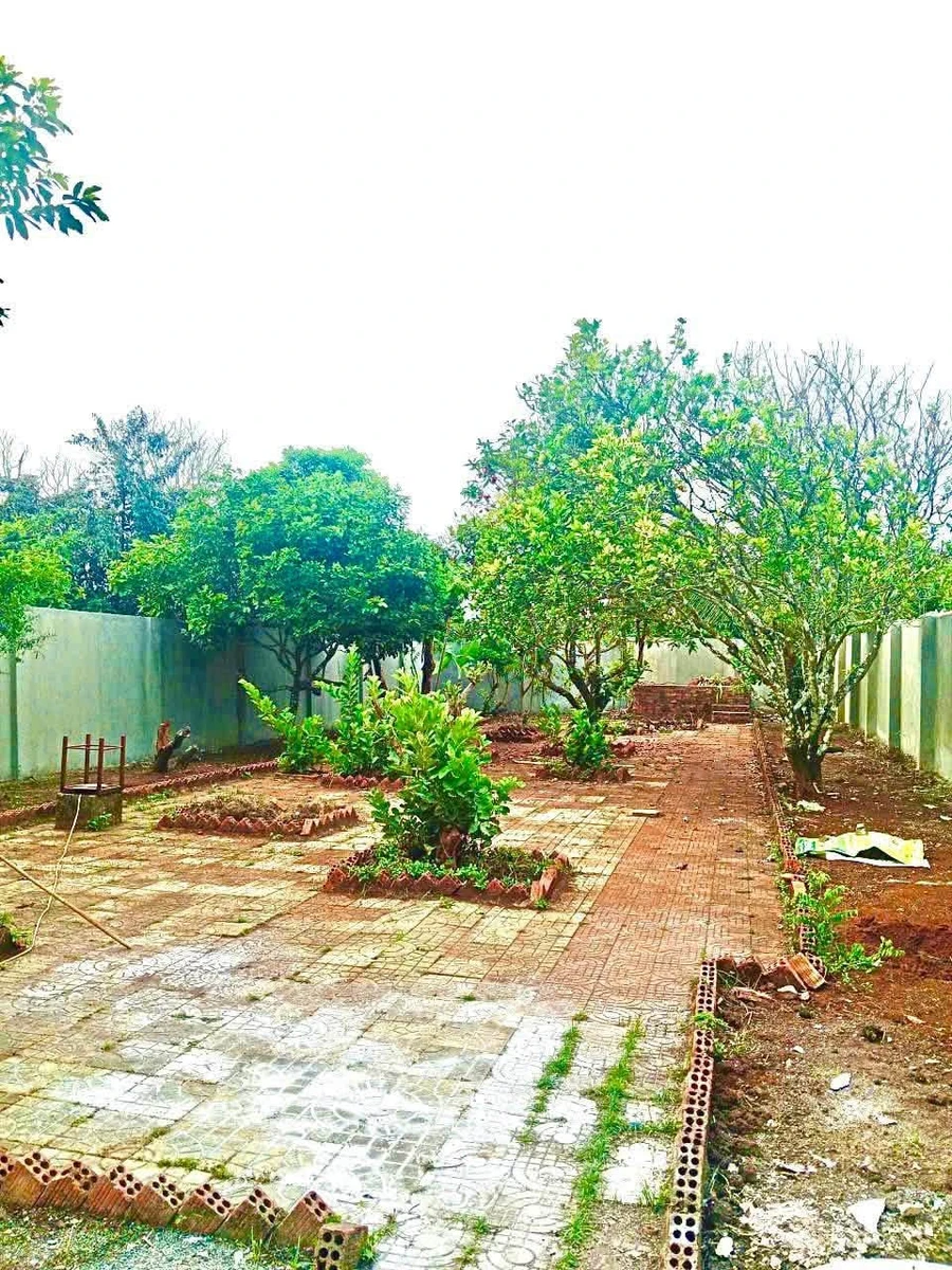 Bán nhà sân vườn mái Thái 672m² Gia Lai - Ảnh thu nhỏ 5