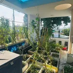 Cho thuê nhà mặt tiền Tân Sơn Nhì 35m² 5PN Tân Phú - Ảnh thu nhỏ 3