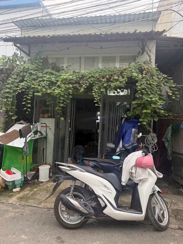 Bán dãy trọ 124,8m² có thu nhập 11tr/tháng tại Phú Hòa