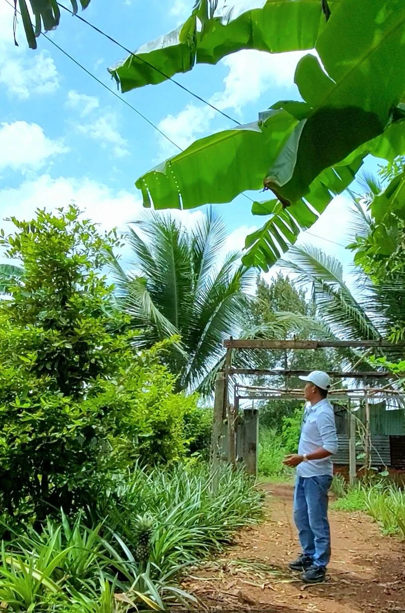 Bán đất 1300m² Hưng Thịnh Đồng Nai giá 2,4 tỷ - Ảnh thu nhỏ 3