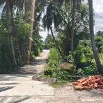 Bán đất nhánh Trần Hữu Độ An Bình Rạch Giá 3900m2 - Ảnh thu nhỏ 1