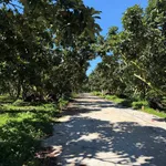 Bán đất vườn 3750m² Nam Ban Lâm Đồng 5 tỷ - Ảnh thu nhỏ 1