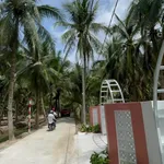 Bán đất 150m² với vườn đẹp tại Tân Phú Đông, Tiền Giang - Ảnh thu nhỏ 2