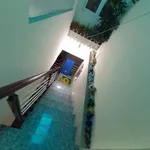 Bán nhà Quận 5 132m2 7 phòng ngủ 6,9 tỷ - Ảnh thu nhỏ 5