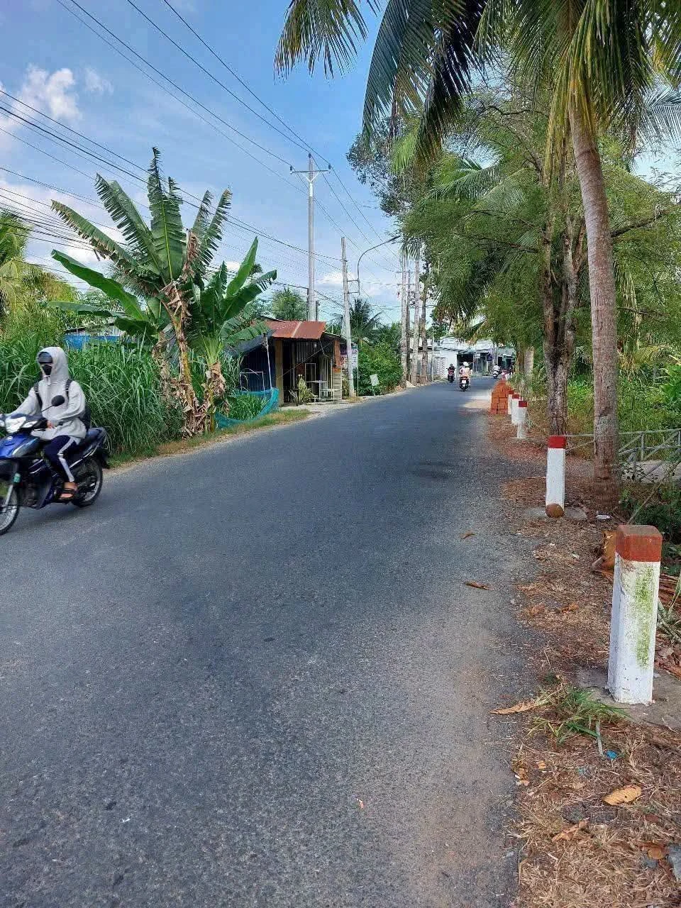 Bán nền mặt tiền 159m² Nhơn Thạnh Bến Tre - Ảnh 1