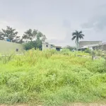 Bán đất Đức Hoà Đông 177m2 xây nhà trọ 1 tỷ 186 - Ảnh thu nhỏ 3