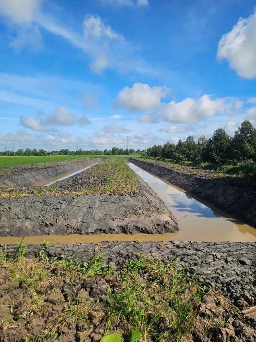 Bán 5000m² đất nghỉ dưỡng Cần Thơ 3.2 tỷ - Ảnh thu nhỏ 4