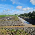 Bán 5000m² đất nghỉ dưỡng Cần Thơ 3.2 tỷ - Ảnh thu nhỏ 4