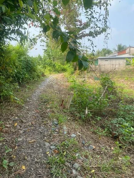 Bán đất Ngã Bảy Hậu Giang giá tốt - Ảnh thu nhỏ 3