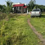 Bán đất 1200m2 mặt tiền 15m Đá Bạc Nhà Bè - Ảnh thu nhỏ 1