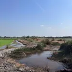 Bán đất vườn 15.000 m² xã Mỹ Thạnh, Long An - Ảnh thu nhỏ 1