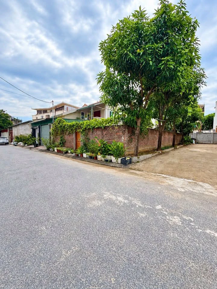 Bán đất biệt thự lô góc 2 mặt tiền 180m² Nghệ An - Ảnh 1