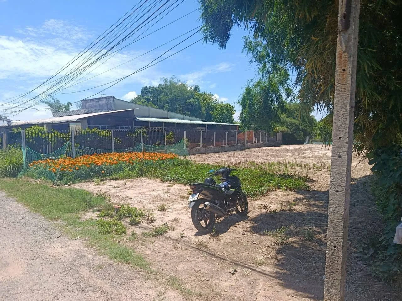 Bán đất 250m² Gò Dầu Tây Ninh gần bệnh viện - Ảnh 1