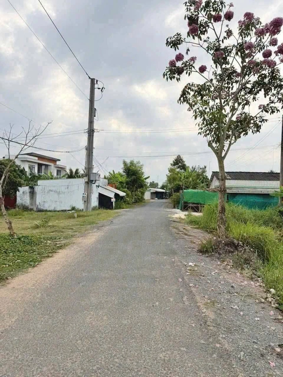 Bán đất thổ cư mặt tiền đường Lê Thị Trăm 5x28,6m giá 760 triệu, Tân An, Tây Ninh - Ảnh thu nhỏ 3