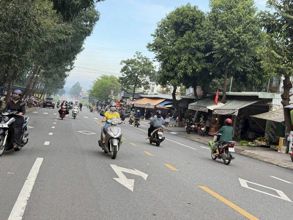 Bán đất kinh doanh 150m² góc ngã tư mặt tiền chợ Mỹ Phước 3 - Ảnh thu nhỏ 5