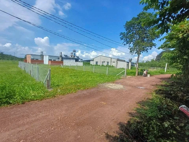 Bán đất Bào Đồn Tây Ninh 220m² 540 triệu