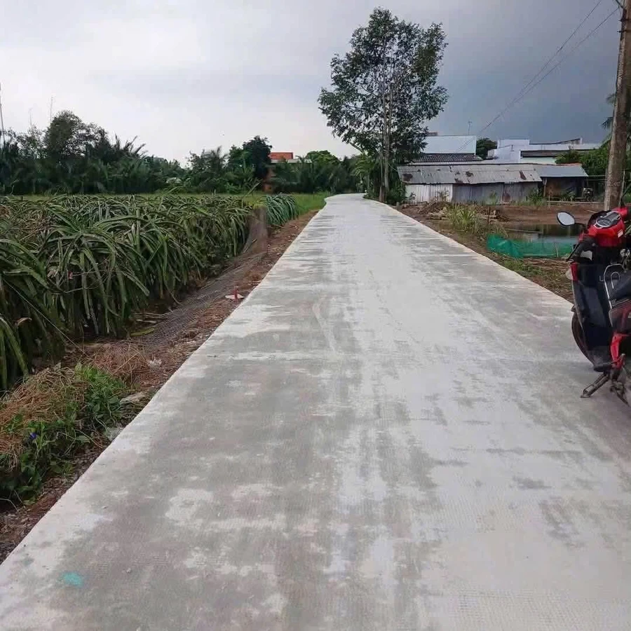 Bán đất nông nghiệp 1.000m² Thuận Mỹ, Long An - Ảnh 1