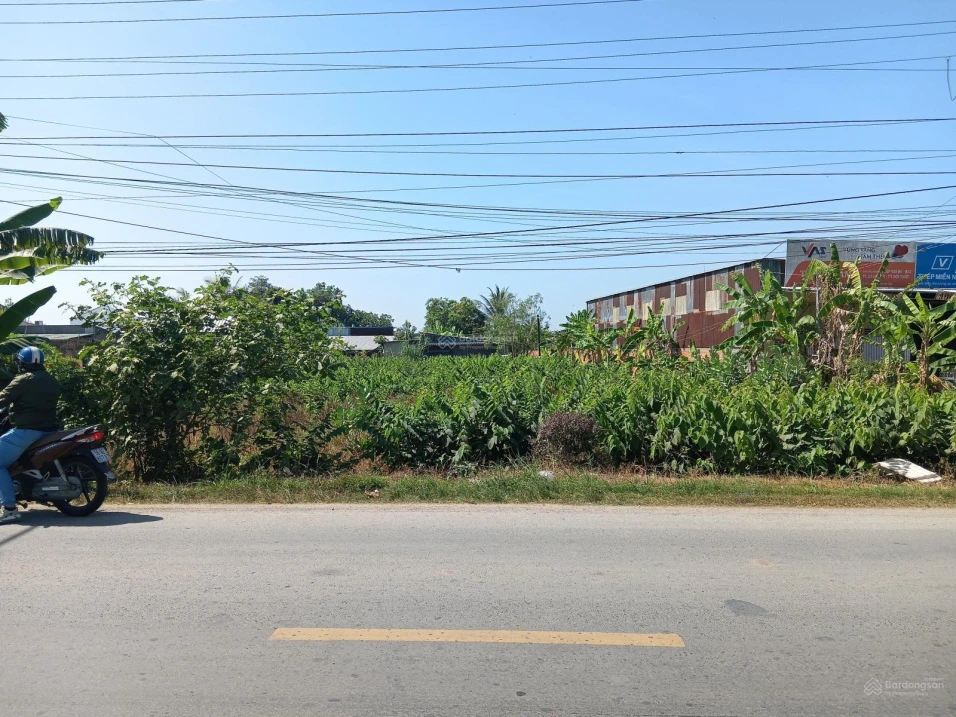 Bán Đất 1053,5 m2 tại Đường Quốc lộ 54, Xã Tân Thành, Huyện Lai Vung, 4,2 tỷ - Ảnh thu nhỏ 3