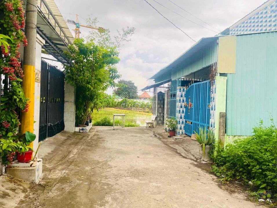 Bán đất 502m2 hẻm Châu Thị Kim, Phường 7, Tân An, Long An view đẹp - Ảnh thu nhỏ 3