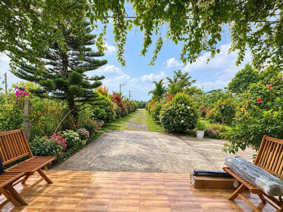 Cho thuê homestay Mạc Thị Bưởi, Bảo Lộc 1.400m2, 8 triệu/tháng - Ảnh thu nhỏ 3
