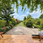 Cho thuê homestay Mạc Thị Bưởi, Bảo Lộc 1.400m2, 8 triệu/tháng - Ảnh thu nhỏ 3