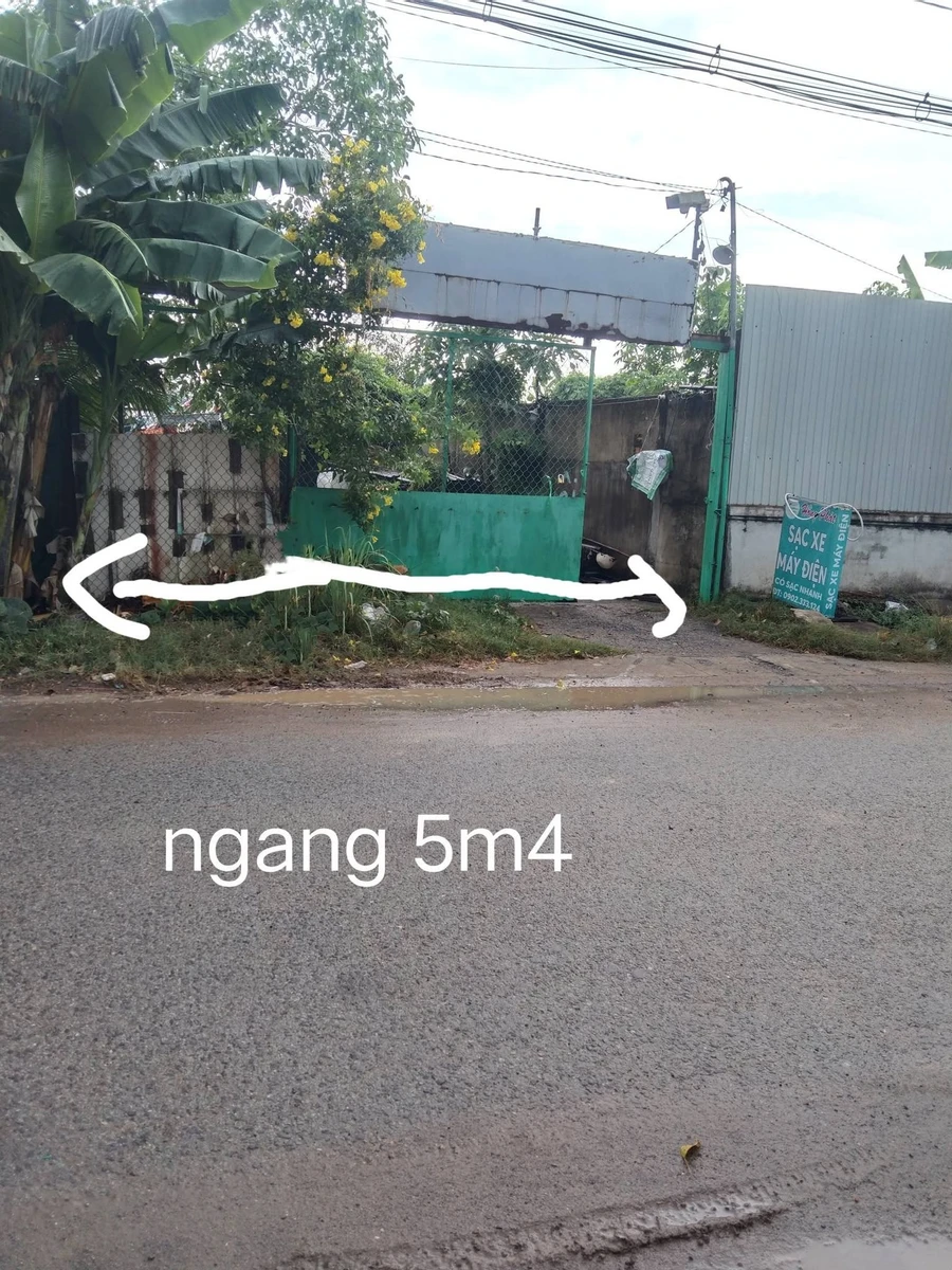 Bán đất vườn mặt tiền đường xe hơi 262m2 giá 3 tỷ tại Xã Bình Chánh - Ảnh thu nhỏ 3