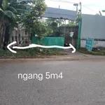 Bán đất vườn mặt tiền đường xe hơi 262m2 giá 3 tỷ tại Xã Bình Chánh - Ảnh thu nhỏ 3