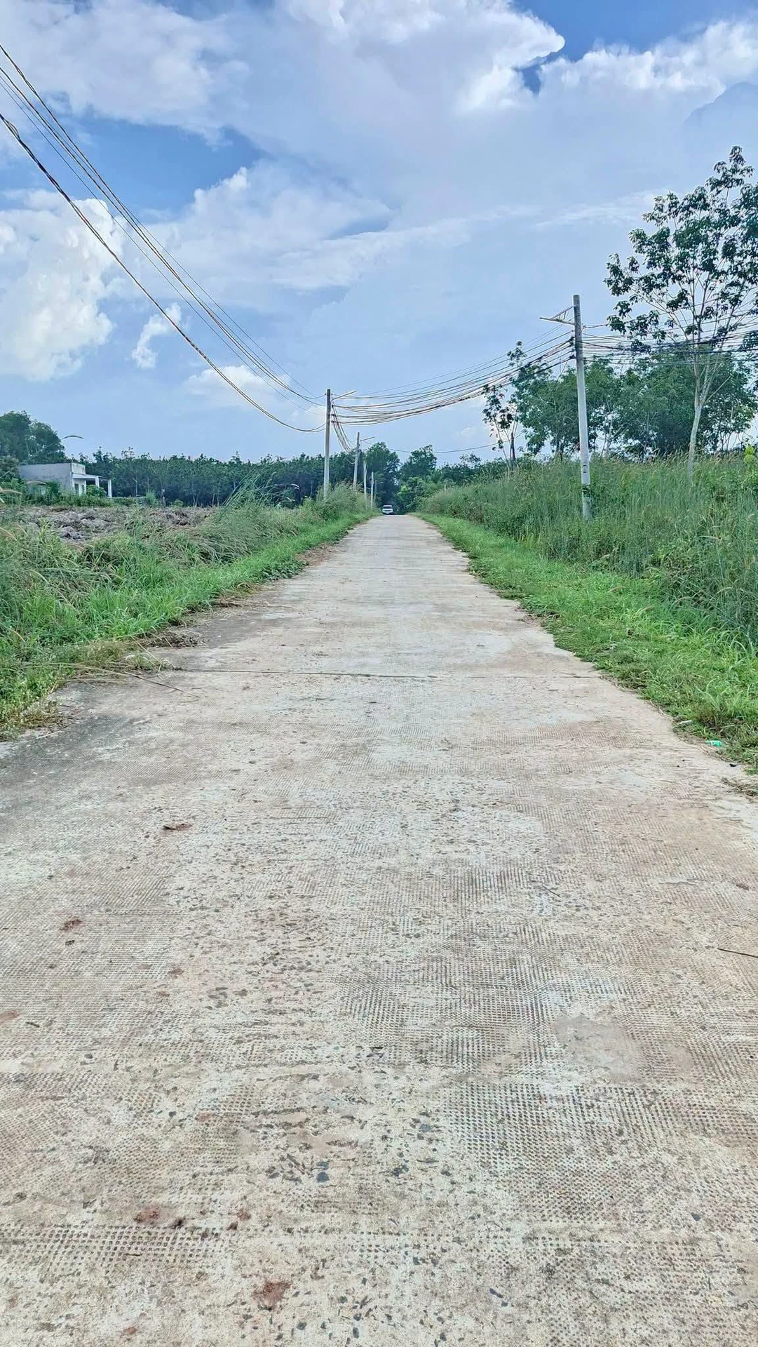 Bán đất 9000m2 mặt tiền 15m Chơn Thành Đồng Nai - Ảnh 1