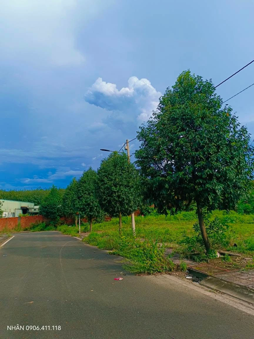 Bán đất ngõ 422 Tiến Hưng, Đồng Nai - Ảnh thu nhỏ 3