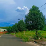 Bán đất ngõ 422 Tiến Hưng, Đồng Nai - Ảnh thu nhỏ 3
