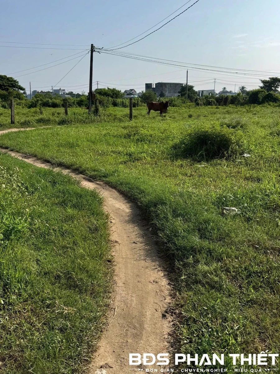 Bán đất vườn Ma Lâm 1.000 m² - Ảnh thu nhỏ 2