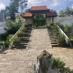 Biệt thự vườn 8000m² Đà Lạt giá 20 tỷ - Ảnh thu nhỏ 3