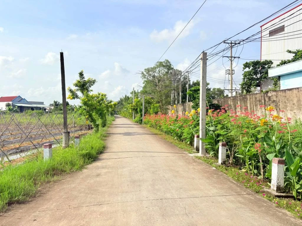 Bán đất thô 5x20m tại ấp Chánh Long Hiệp 1 tỷ 350 - Ảnh thu nhỏ 2
