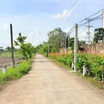 Bán đất thô 5x20m tại ấp Chánh Long Hiệp 1 tỷ 350 - Ảnh thu nhỏ 2