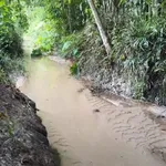 Bán đất 4.700m2 ở Chơn Thành, Bình Dương, giá 1 tỷ 350 triệu - Ảnh thu nhỏ 1