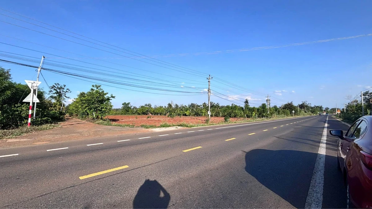 Bán đất 6.851m² 3 mặt tiền Đắk Lắk - Ảnh thu nhỏ 4