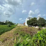 Bán đất Quận 12, 590.6m2, 22.5 tỷ, An Phú Đông - Ảnh thu nhỏ 1