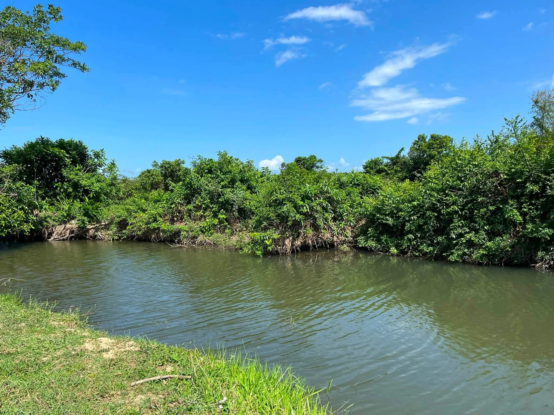 Bán lô đất thổ cư 755m2 view suối, gần QL1A, Ninh Hòa, Khánh Hòa - Ảnh 1