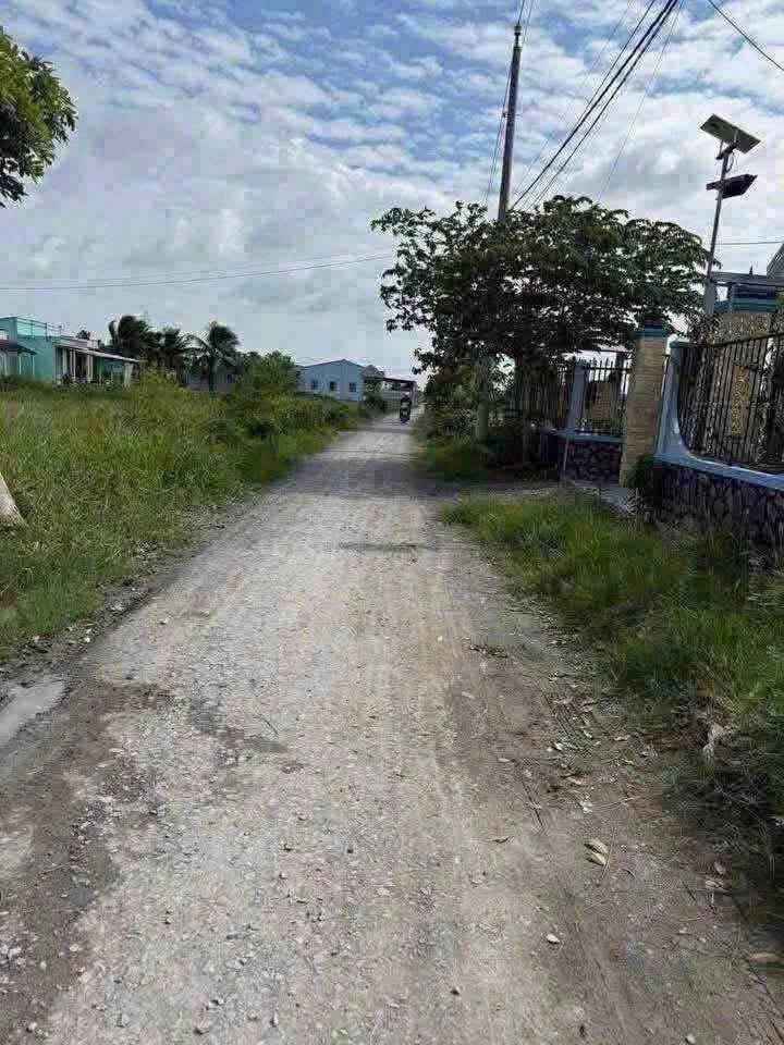 Bán đất lúa 1300m² giá 370 triệu/1000m² Tân Lân - Ảnh thu nhỏ 2