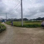 Bán đất 600m² toàn bộ thổ cư Tân Chánh, Cần Đước, Long An 1 tỷ 700 triệu - Ảnh thu nhỏ 2